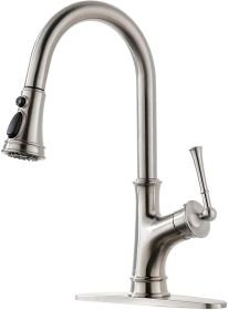 APPASO Black Kitchen Faucet with Pull Down Sprayer Head - Single Handle High Arc Single Hole Pull Out Kitchen Sink Faucets with Deck Plate, Matte Blac